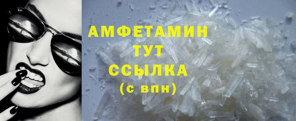 индика Горно-Алтайск