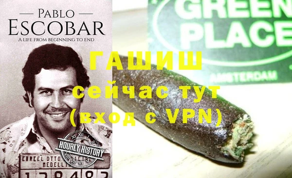 индика Горно-Алтайск