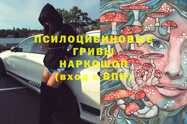 ПСИЛОЦИБИНОВЫЕ ГРИБЫ Волосово