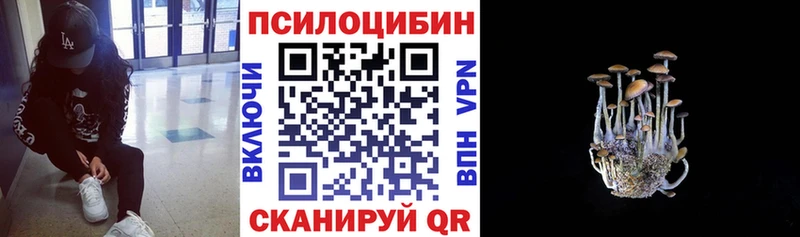 Галлюциногенные грибы Psilocybe  Жуковка 